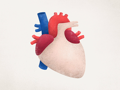 Donors Campaign animation body campaign design donation donor donors grainy health heart illustration illustrator kidneys liver lung motion organic vector vector illustration