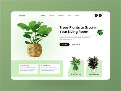 Plant Website Landing Page Design