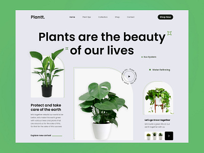 Plant Website Landing Page Design