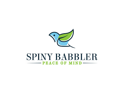 Spiny Babbler