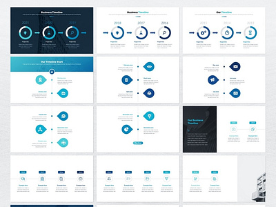 Business Plan  Timeline