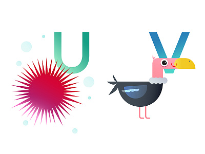 U & V