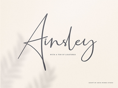 Ainsley | Script Signature Font calligraphy calligraphy font elegant font font font design fontype script font