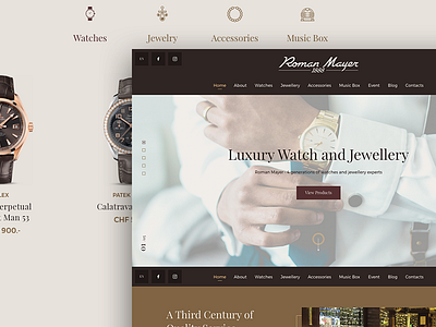 Luxury landing page brown clean design ecommerce landing space typography ui ukraine ux web