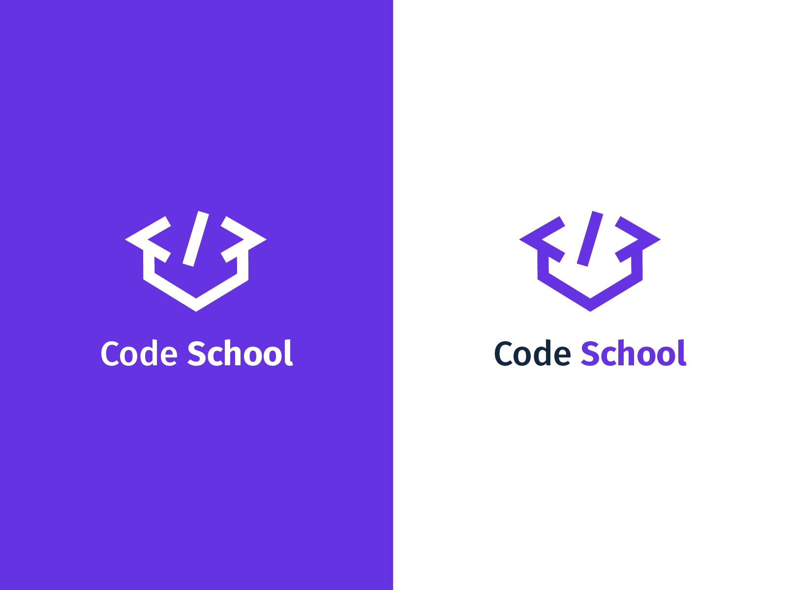 Daily Logo Challenge: Day 21 "Coding School Logo" by The Simple