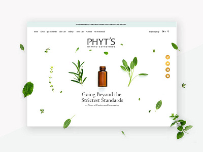 PHYT's website header