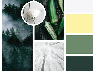 Brand Mood Board - Health & Wellness