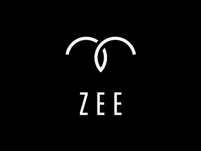 Zee Logo aviation flight identity logo mark minimal tungsten zee