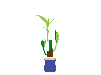 Lucky Bamboo app design graphic design vector