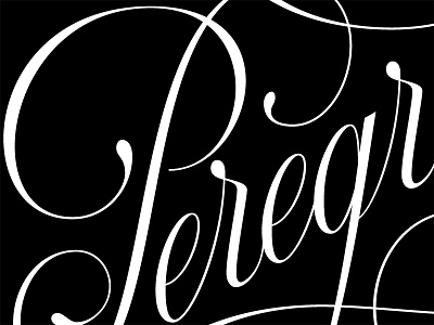 Peregrinação calligraffiti calligraphy illustration lettering logo skillsmadeofdouro type typemystyle typography xesta xestaone xestastudio