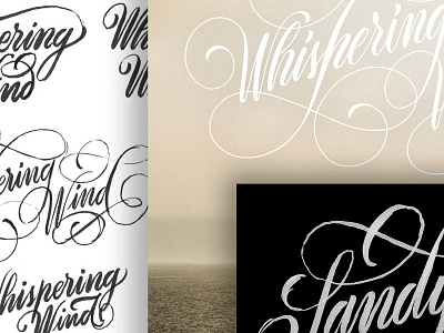 Sandy Kilpatrick - Whispering Wind calligraffiti calligraphy illustration lettering logo skillsmadeofdouro type typemystyle typography xesta xestaone xestastudio