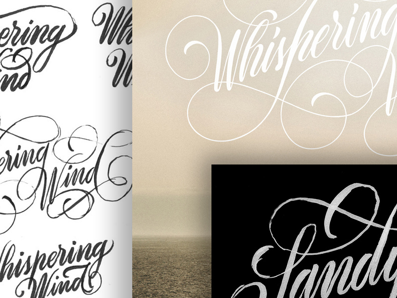 Sandy Kilpatrick - Whispering Wind xestastudio xestaone xesta typography typemystyle type skillsmadeofdouro logo lettering illustration calligraphy calligraffiti