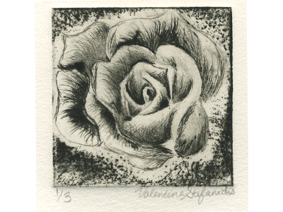 Rose Dry Point Etching dry point etching intaglio printmaking rose