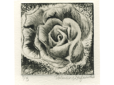 Rose Dry Point Etching