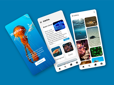 Marina, aquatic information app design aquatic branding design digital figma intel interaction interest interface soft ui ux website