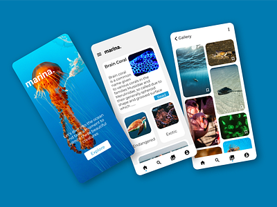 Marina, aquatic information app design