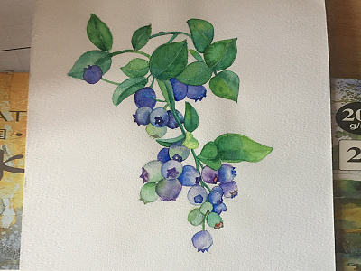 blueberries watercolours