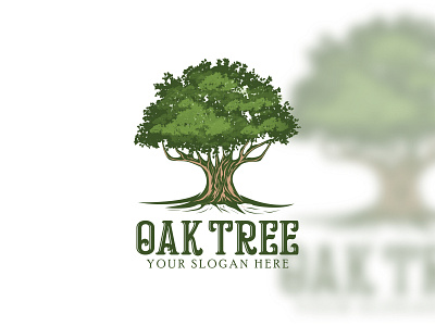 Oak Tree design illustration logo logodesign vector vintage
