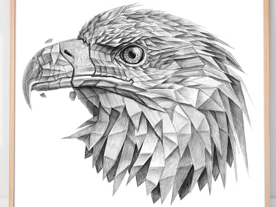 Eagle Drawing, Portrait Drawing,  Art Prints, Eagle Polygonal