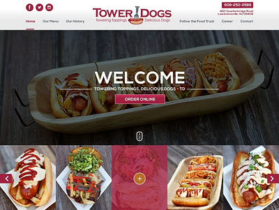 TowerDogs WebDesign branding design graphic design icon illustration logo typography ui ux vector