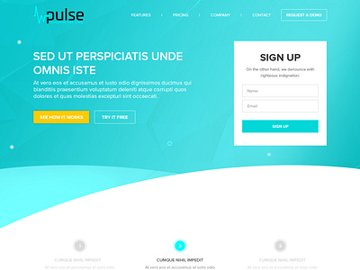 Pulse WebDesign