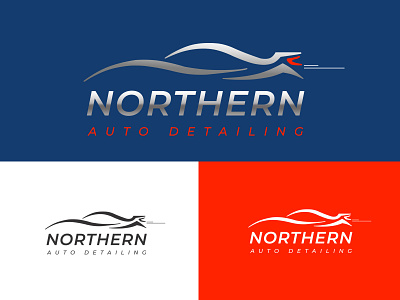 Northern Auto detailing logo best logo branding creative logo design detailing detailing logo dribbble logo dribbble logo design flat logo graphic designer illustration logo logo design logo designer minimal logo minimalist logo professional logo trending trending logo ui