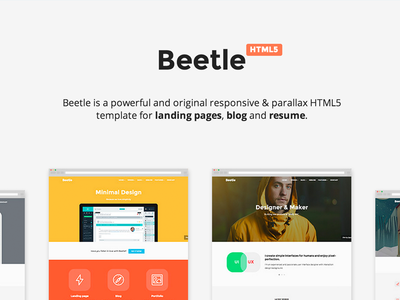 Beetle HTML5 Template