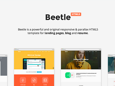 Beetle HTML5 Template html5 landing parallax portfolio psd responsive resume template themeforest