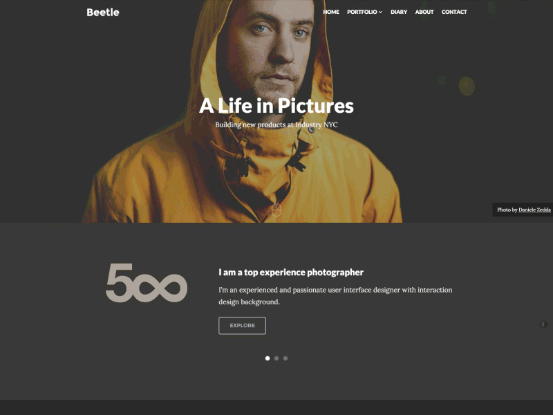 Beetle Animation photographer photography wordpress themes theme portfolio mockups psd iphone ipad flat parallax