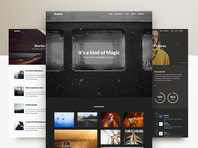 Discover Beetle Pro beetle wordpress theme portfolio designer photography freebie free psd mockups carousels typography