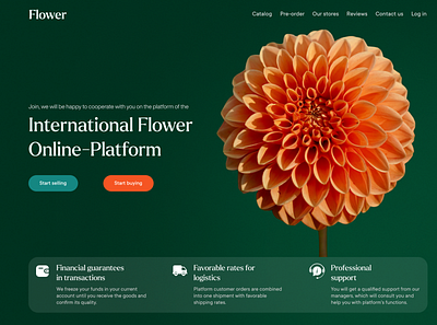 Flower marketplace design graphic design ui ux