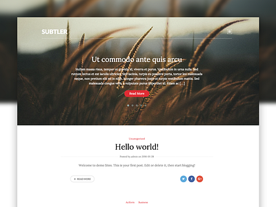 Subtler WP theme blogging themes wordpress