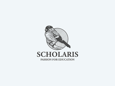 Logo design for Education