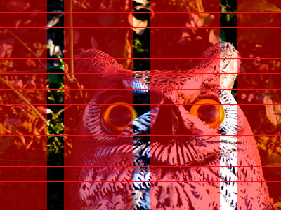 This had better line up… baseline grid layout owl photo