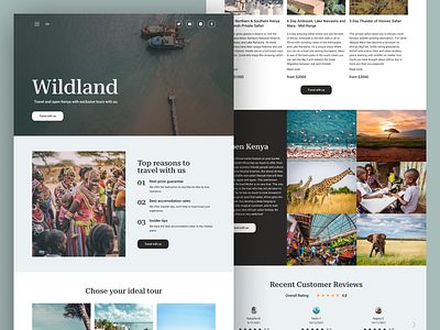 Landing for travel agency design landing landingpage travel travelagency ui