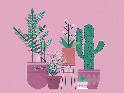 Some new plants! art design illustration illustrator pink planters plants