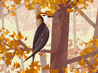 Would He Woodpecker art bird design forest illustration nature vector woodpecker would