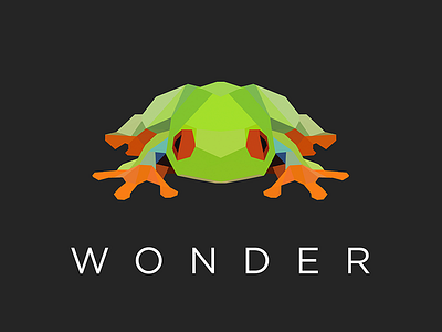 Wonder Tree Frog animal character design frog geometric icon illustration logo low poly poster vancouver vector