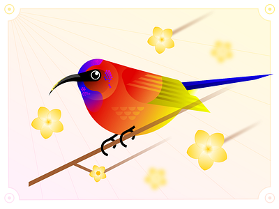 Birds & Flowers 1/24 Mrs Gould's Sunbird bird flower graphic design illustration spring