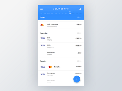 Expense tracking app shrinked header