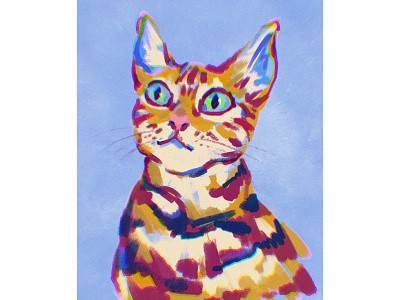 Cat Doodle cat cat drawing color color sketch daily drawing daily sketch doodle drawing illustration procreate sketch sketching style
