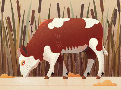 A Cow With Funny Eyes color cow design drawing funny illustration style
