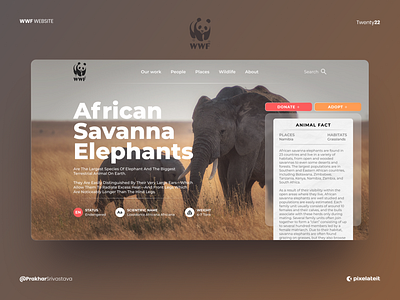 WWF. animals branding creativity design donate elephants graphic design hot information love nature trends ui ux webdesign website wildlife wwf