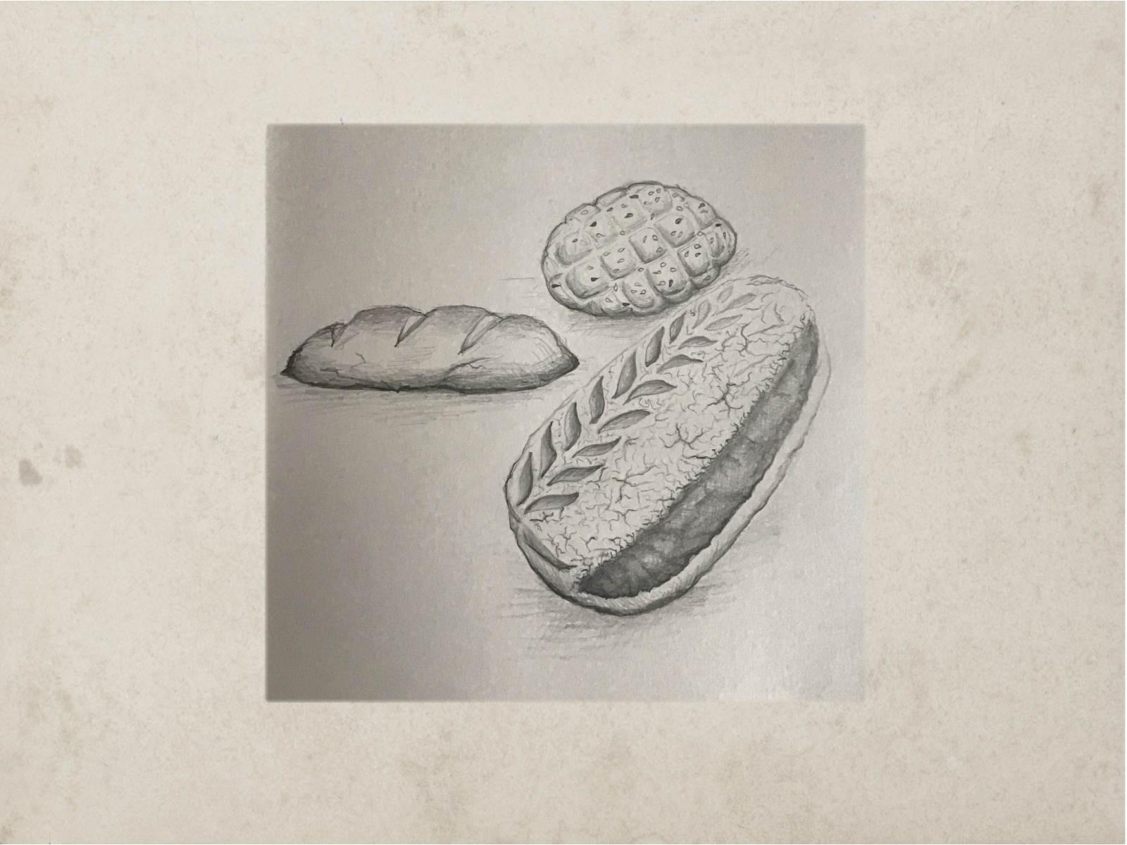 Different bread still life hand drawn realistic sketch. Different bread  still life hand drawn realistic detailed sketch in | CanStock