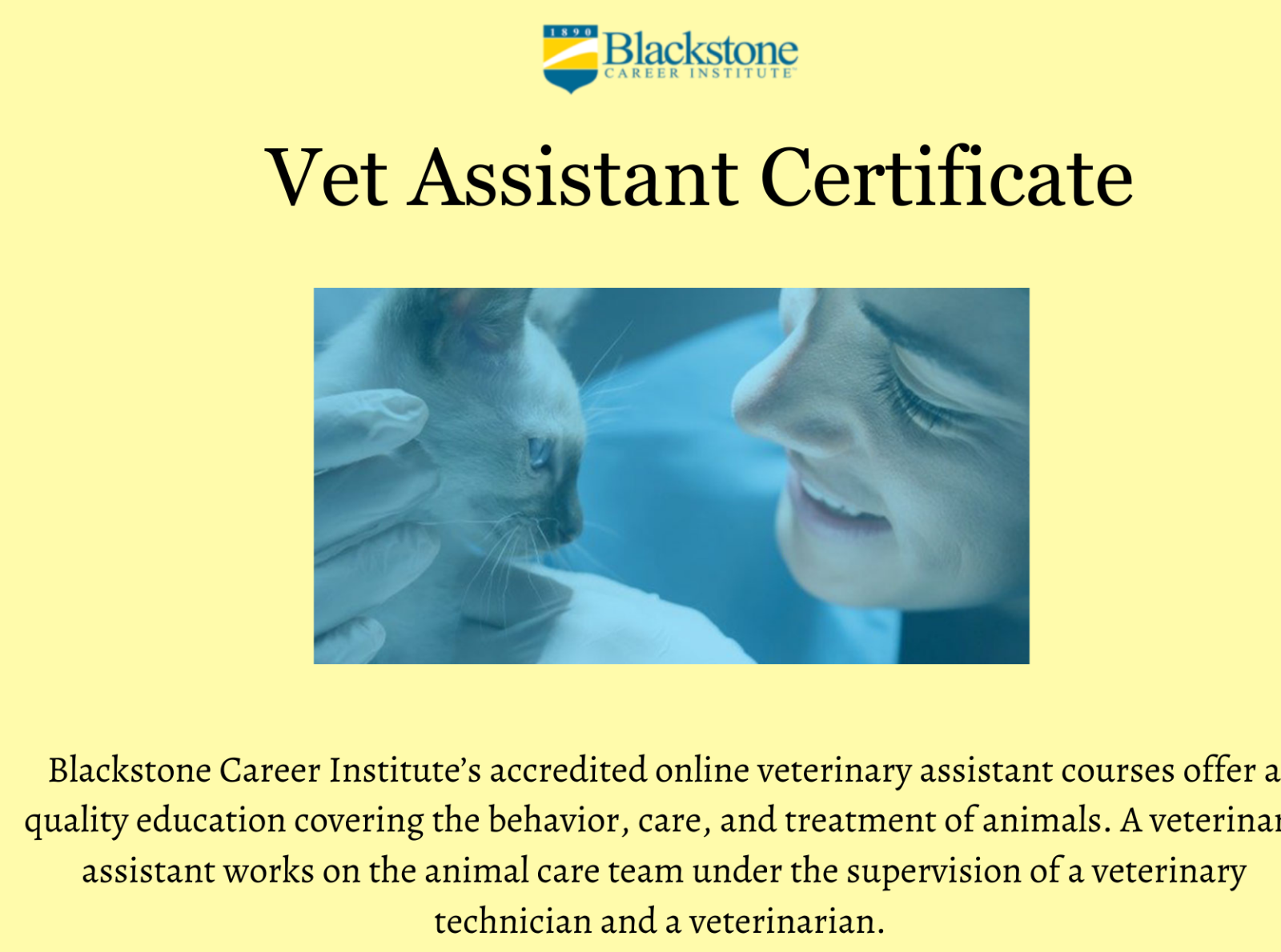 Vet assistant certificate by Black Stone on Dribbble
