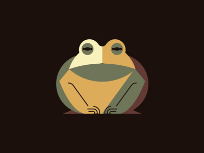 Toad frog toad