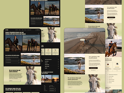 Two ideas for same website! Horse Riding Club 🐴 animation branding design development figma graphic design logo ui ux web webdesign webflow website
