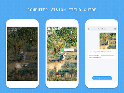Computer Vision Field Guide augmented reality bot computer vision concept conversational education mobile nature travel
