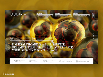 Web design for HM Healthcare Partners