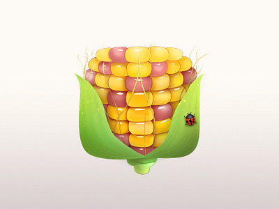 corn illustration